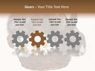 Season Happy Animal PowerPoint Template