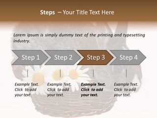 Season Happy Animal PowerPoint Template
