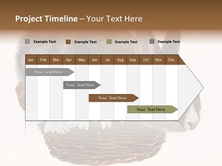 Season Happy Animal PowerPoint Template