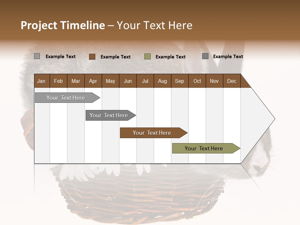 Season Happy Animal PowerPoint Template