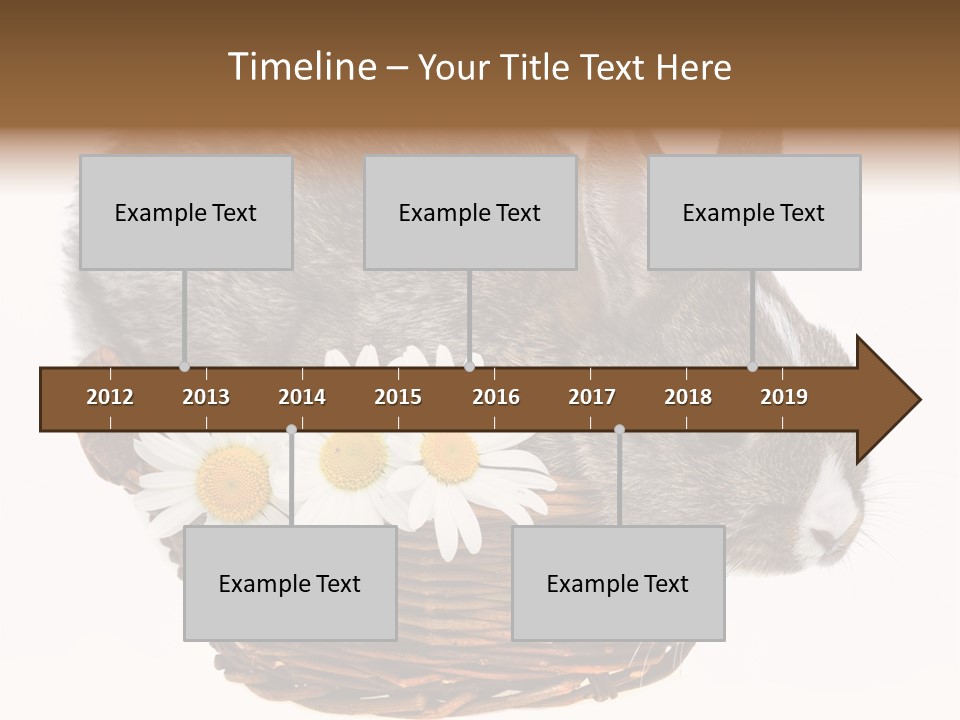 Season Happy Animal PowerPoint Template