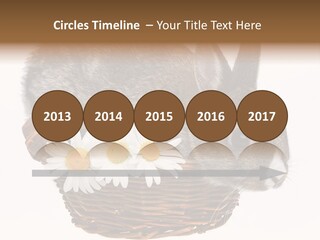 Season Happy Animal PowerPoint Template
