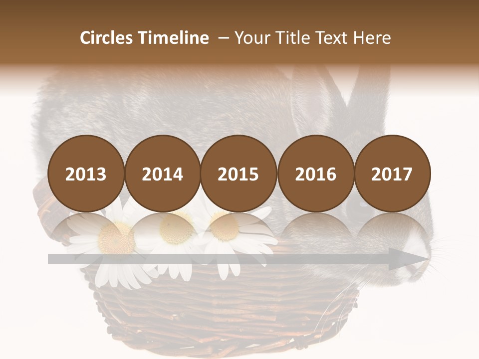 Season Happy Animal PowerPoint Template
