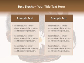 Season Happy Animal PowerPoint Template