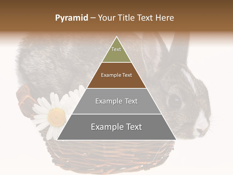 Season Happy Animal PowerPoint Template