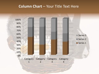 Season Happy Animal PowerPoint Template