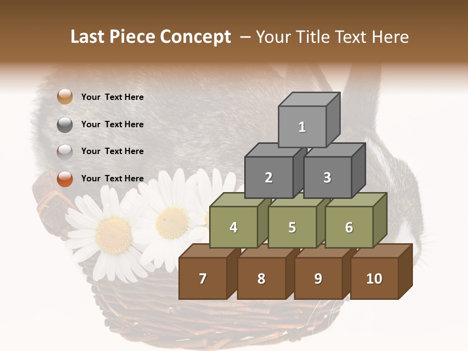 Season Happy Animal PowerPoint Template