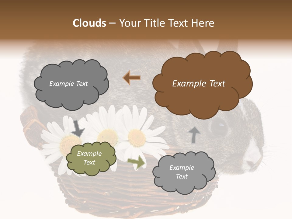 Season Happy Animal PowerPoint Template