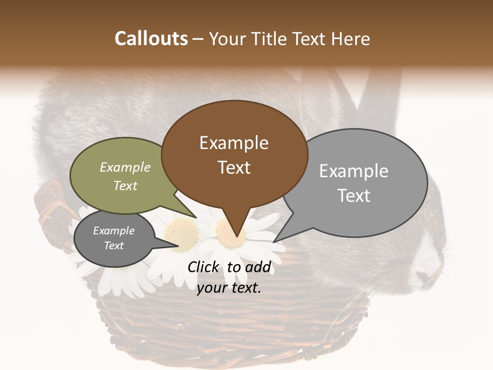 Season Happy Animal PowerPoint Template
