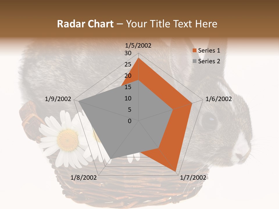 Season Happy Animal PowerPoint Template