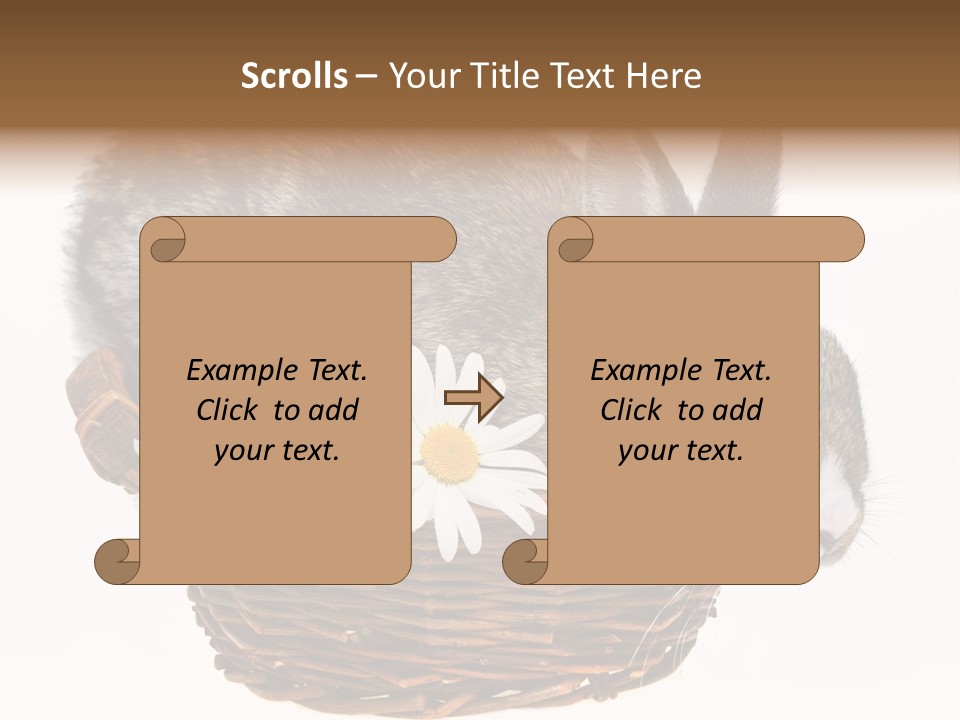 Season Happy Animal PowerPoint Template