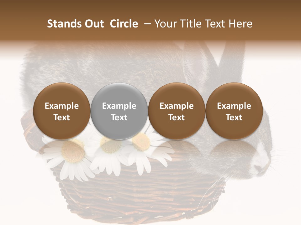 Season Happy Animal PowerPoint Template