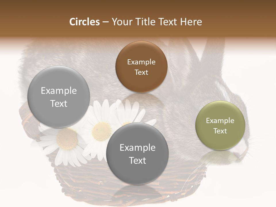 Season Happy Animal PowerPoint Template