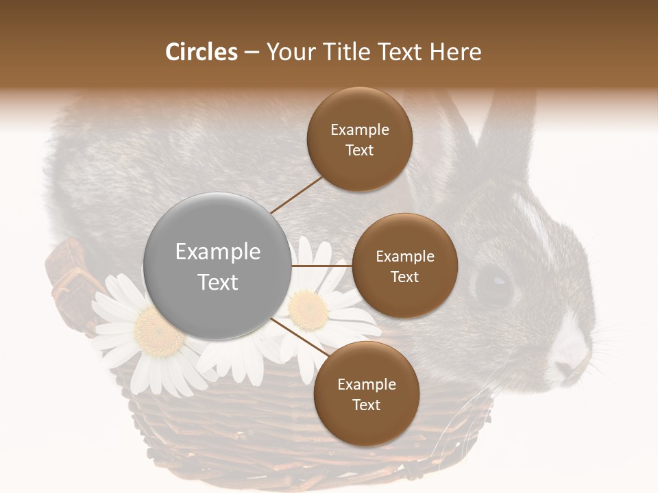 Season Happy Animal PowerPoint Template