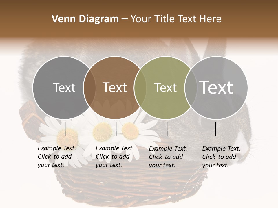 Season Happy Animal PowerPoint Template