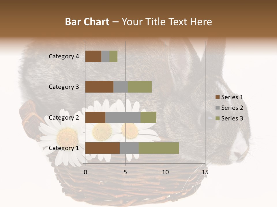 Season Happy Animal PowerPoint Template