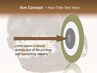 Season Happy Animal PowerPoint Template