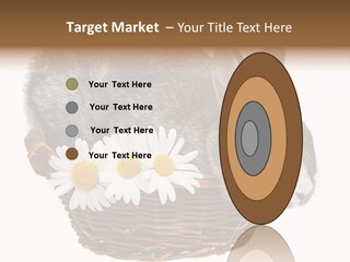 Season Happy Animal PowerPoint Template