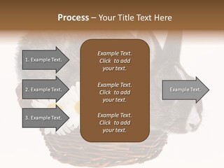 Season Happy Animal PowerPoint Template