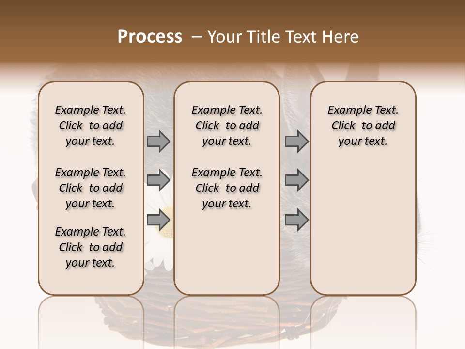 Season Happy Animal PowerPoint Template