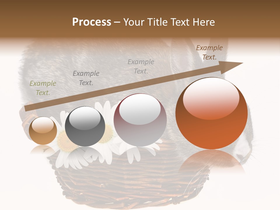 Season Happy Animal PowerPoint Template