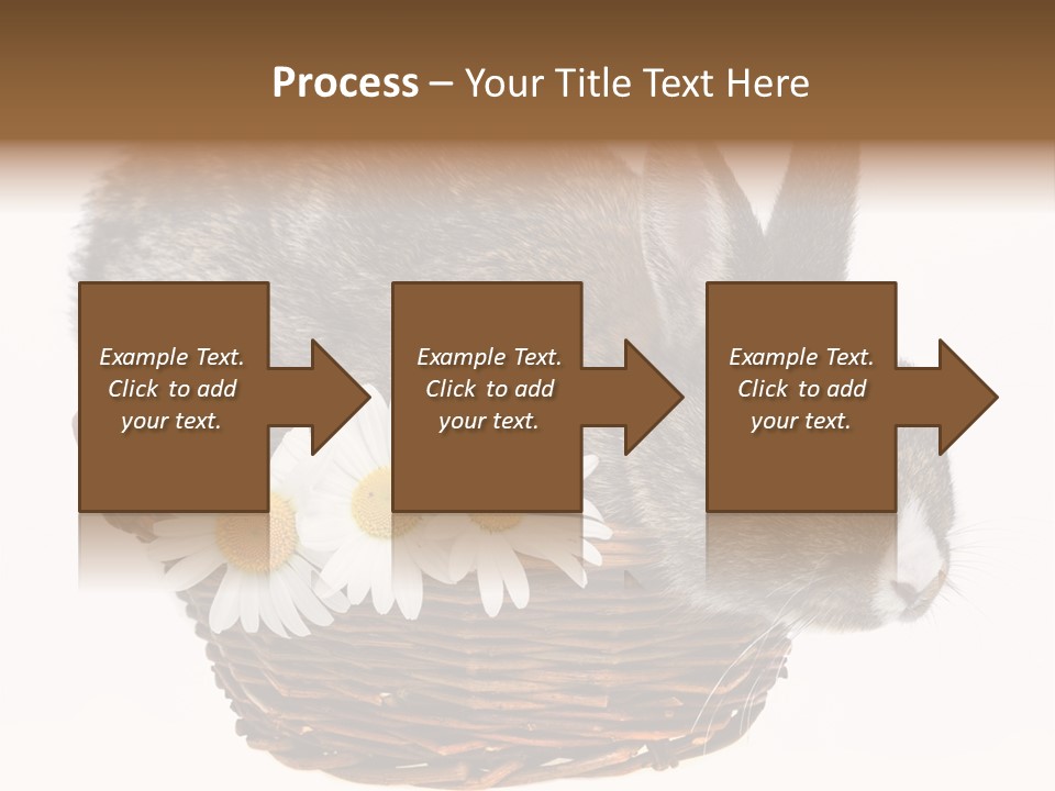 Season Happy Animal PowerPoint Template
