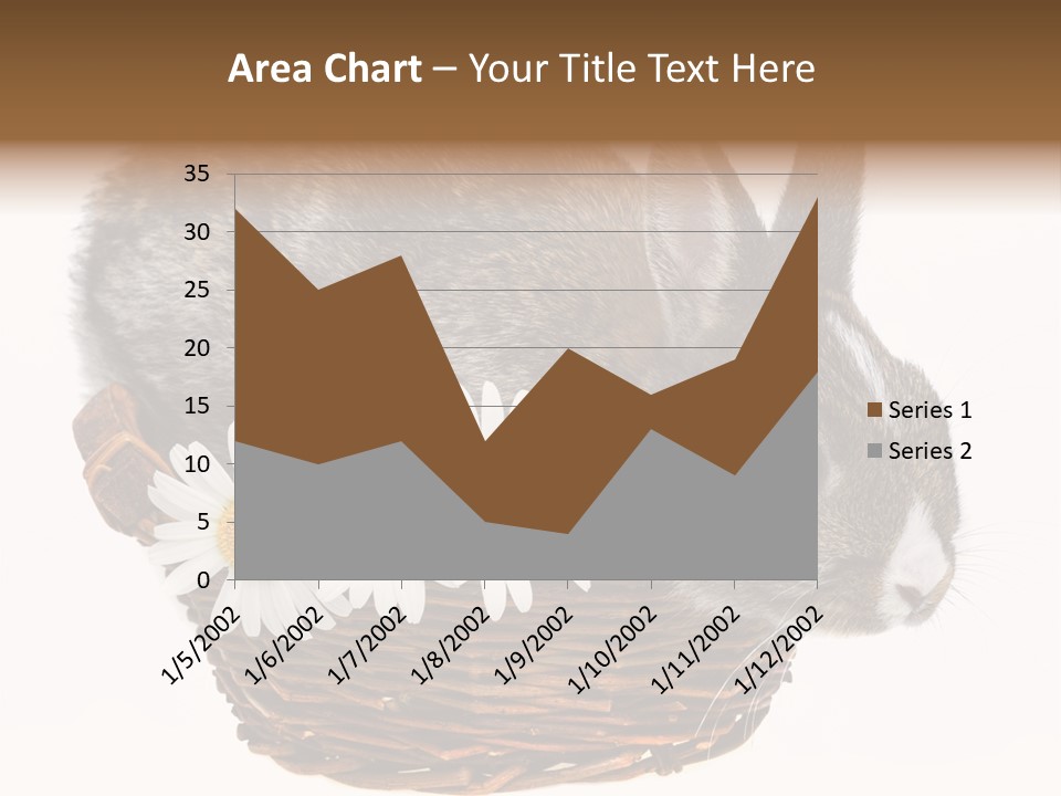 Season Happy Animal PowerPoint Template