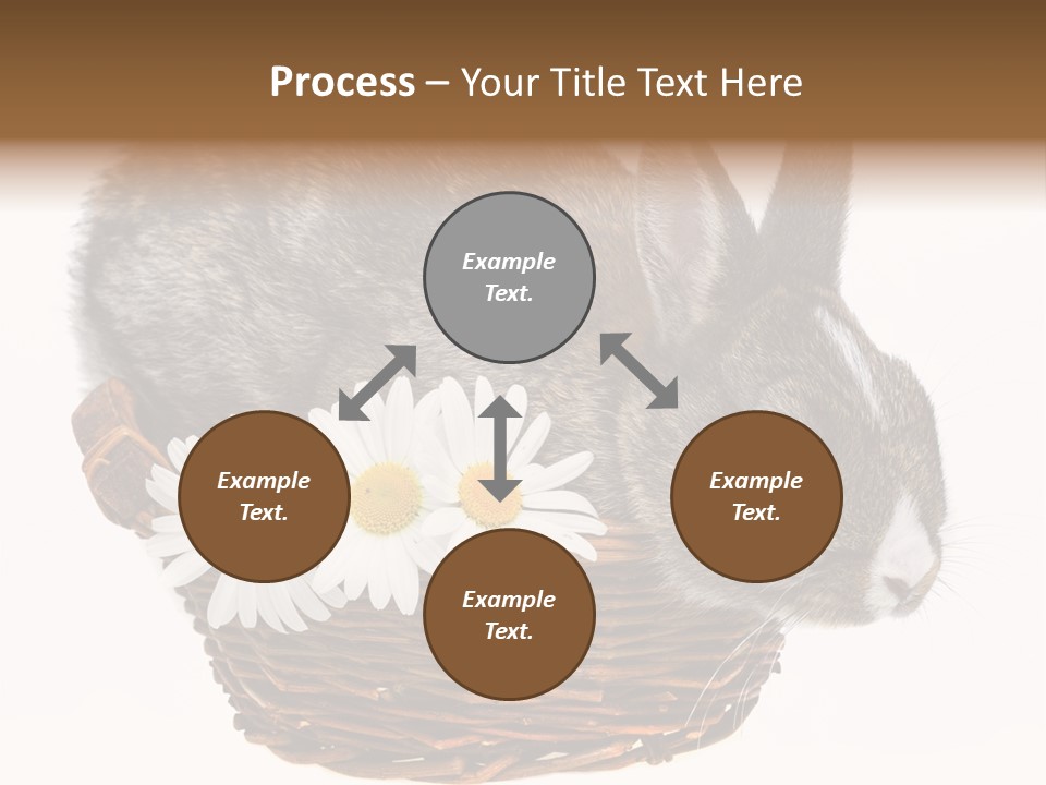 Season Happy Animal PowerPoint Template