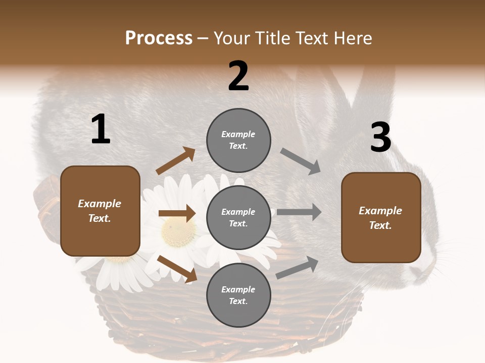 Season Happy Animal PowerPoint Template