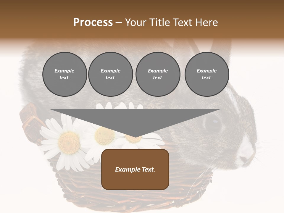 Season Happy Animal PowerPoint Template