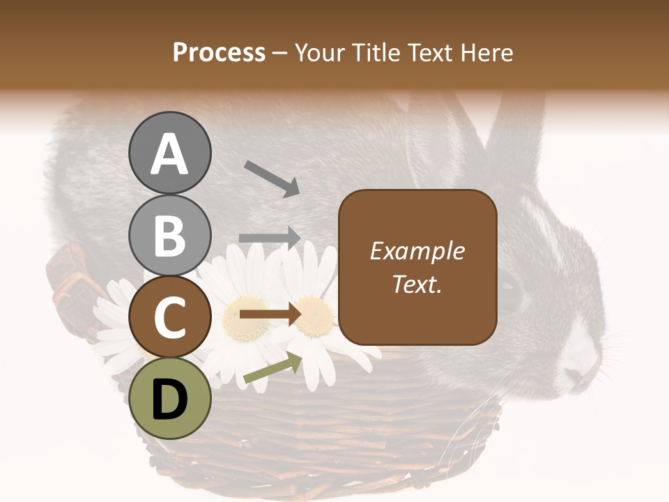Season Happy Animal PowerPoint Template
