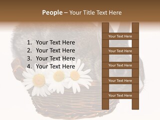 Season Happy Animal PowerPoint Template