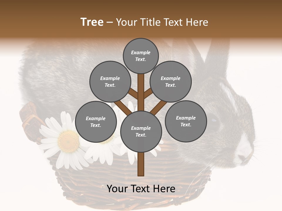 Season Happy Animal PowerPoint Template