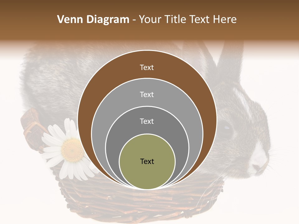 Season Happy Animal PowerPoint Template