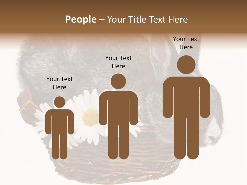 Season Happy Animal PowerPoint Template