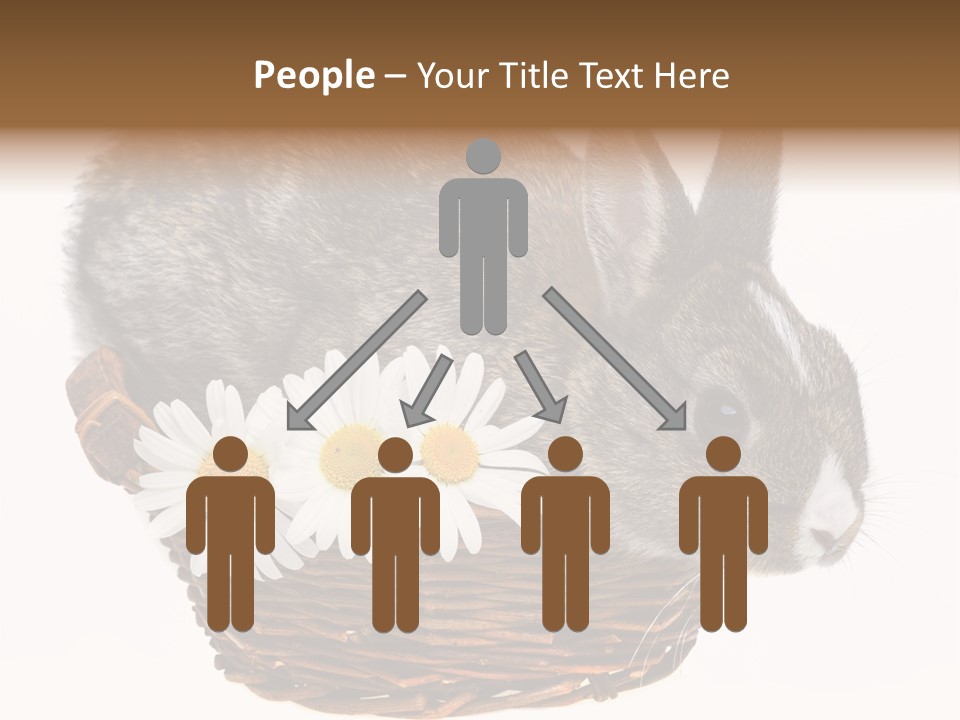 Season Happy Animal PowerPoint Template