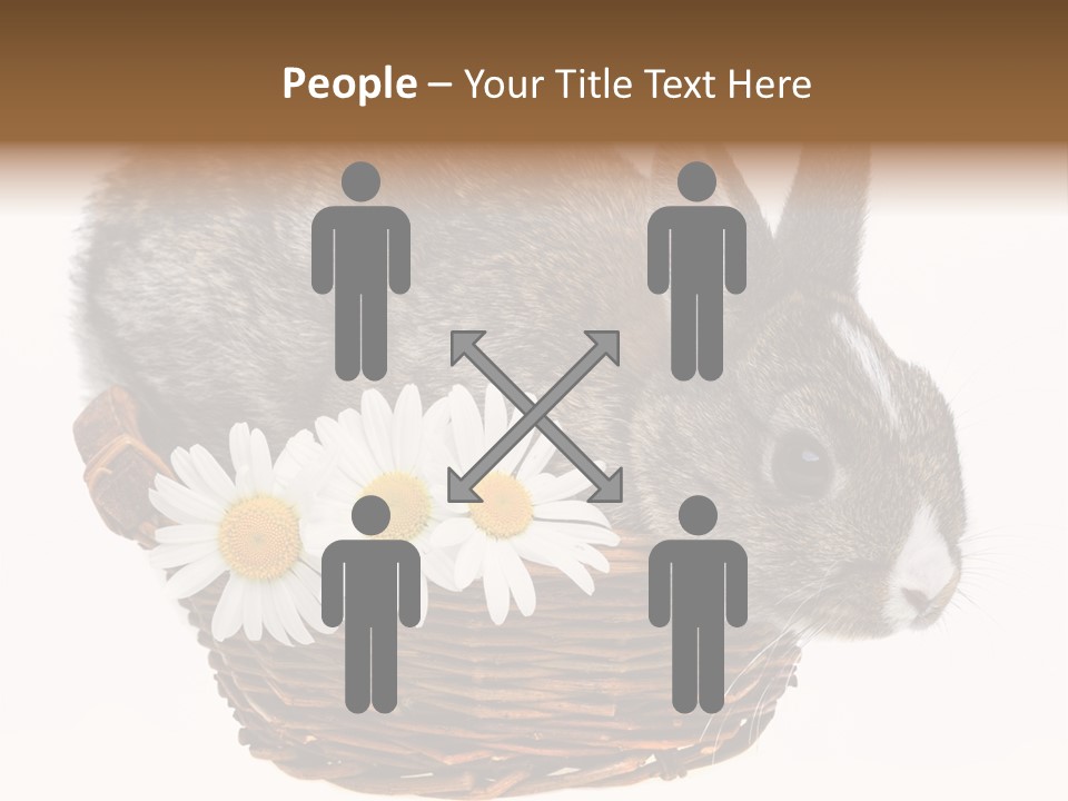 Season Happy Animal PowerPoint Template