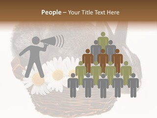 Season Happy Animal PowerPoint Template