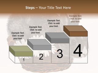 Season Happy Animal PowerPoint Template