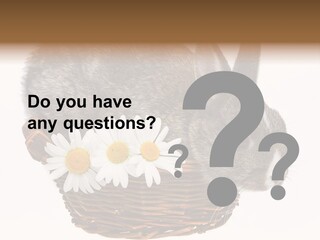 Season Happy Animal PowerPoint Template