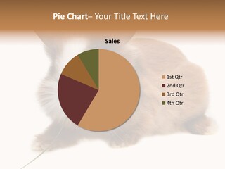 Brown Furry Small PowerPoint Template