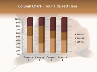 Brown Furry Small PowerPoint Template