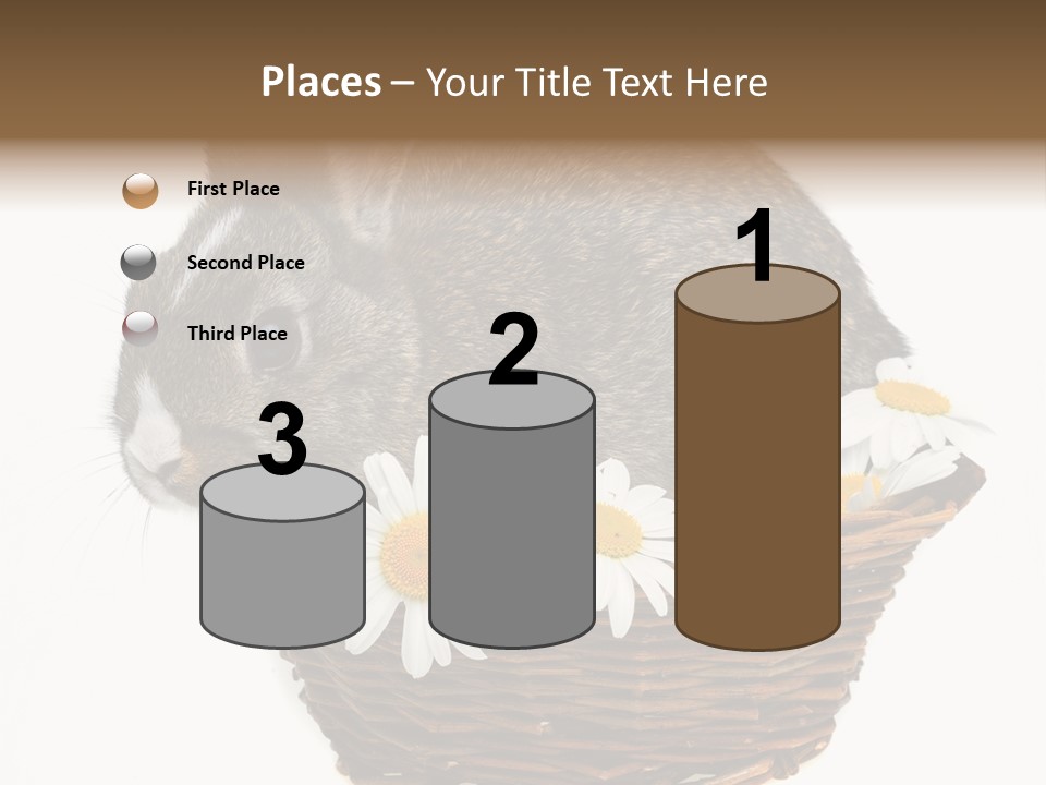 Lying Timid Season PowerPoint Template