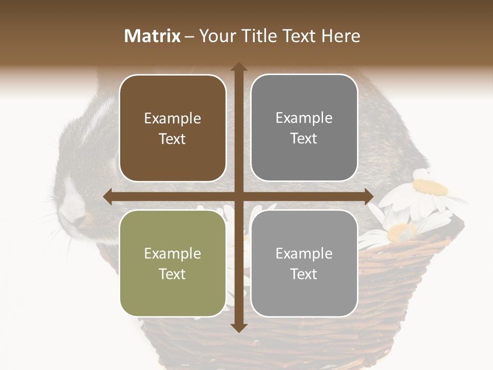 Lying Timid Season PowerPoint Template