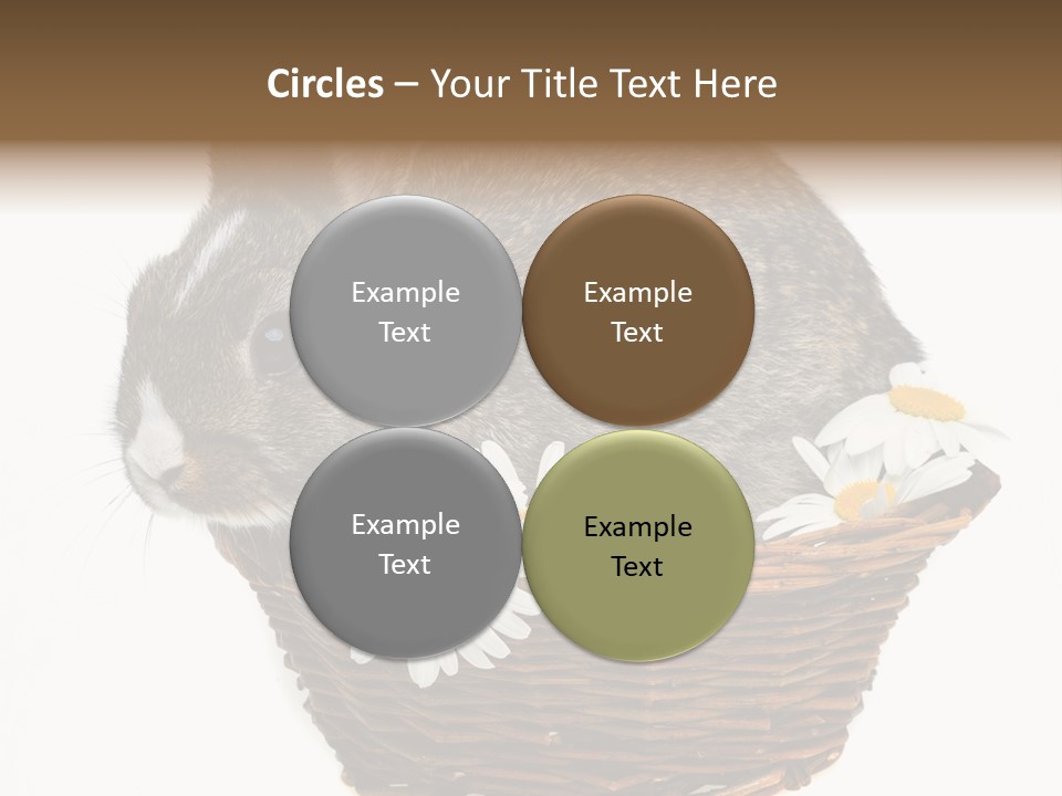 Lying Timid Season PowerPoint Template