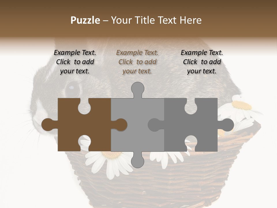 Lying Timid Season PowerPoint Template