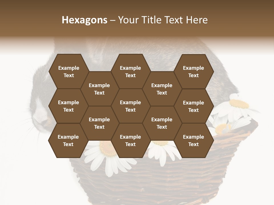 Lying Timid Season PowerPoint Template