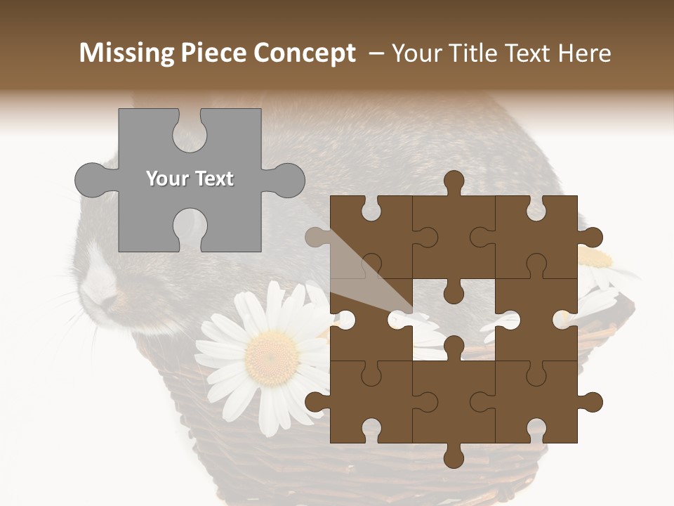 Lying Timid Season PowerPoint Template