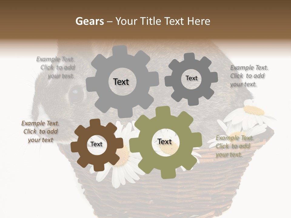 Lying Timid Season PowerPoint Template