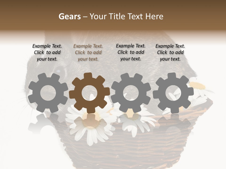 Lying Timid Season PowerPoint Template